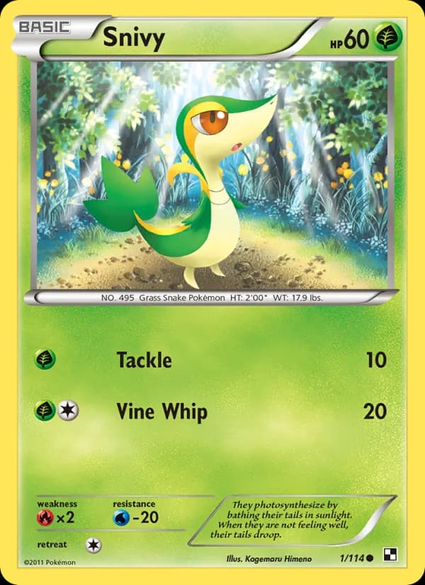 Snivy — изображение карты
