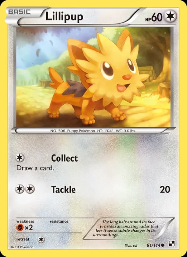 Lillipup — изображение карты