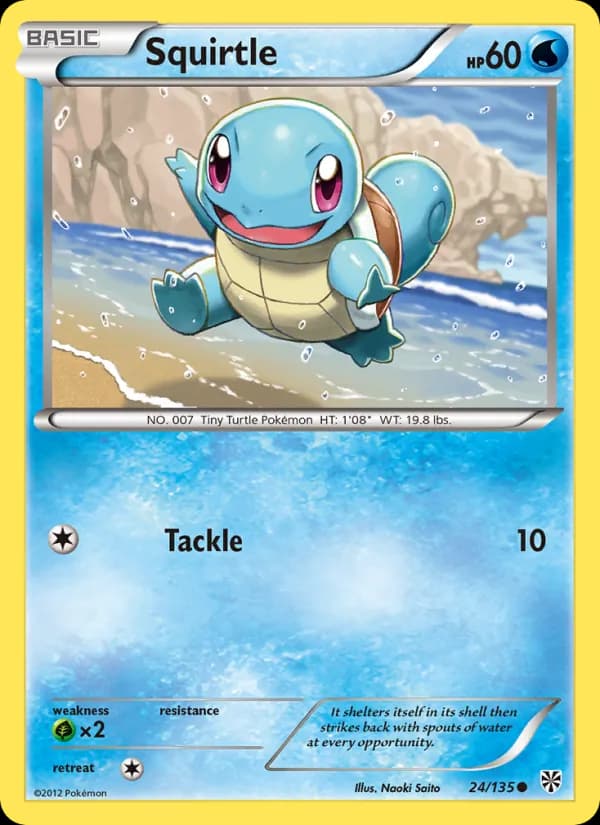 Squirtle — изображение карты