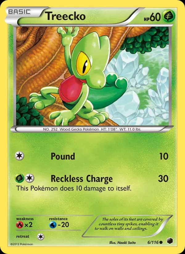 Treecko — изображение карты