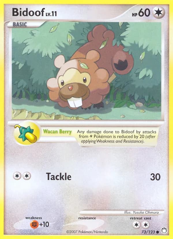 Bidoof — изображение карты