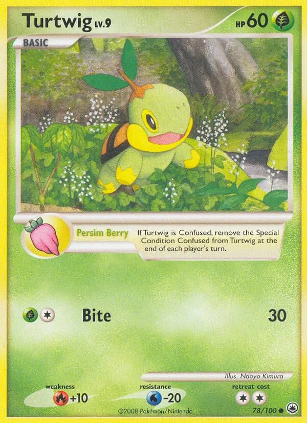Turtwig — изображение карты
