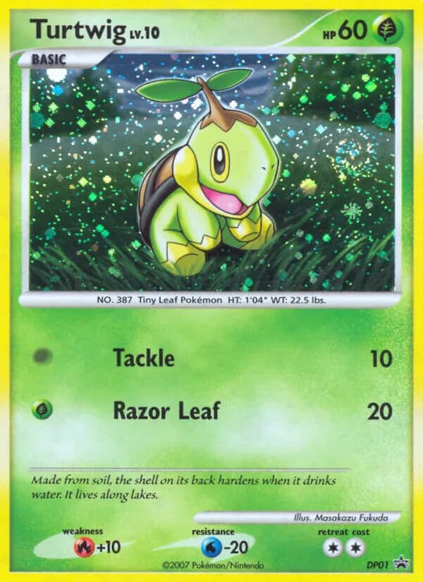 Turtwig — изображение карты