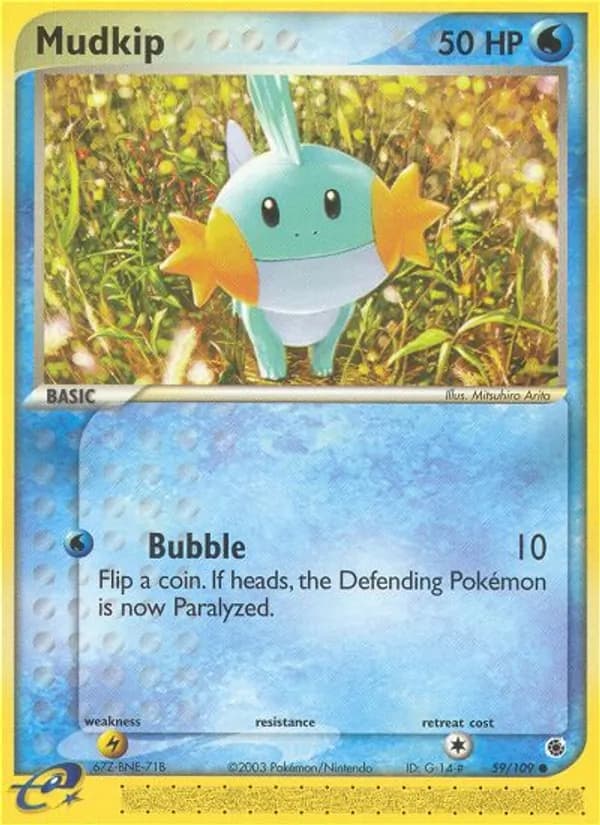 Mudkip — изображение карты