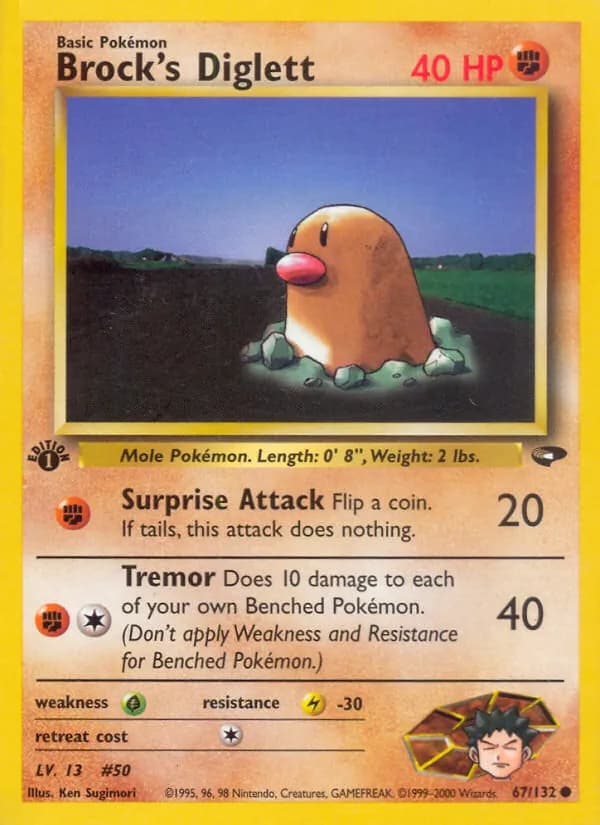Brock's Diglett — изображение карты
