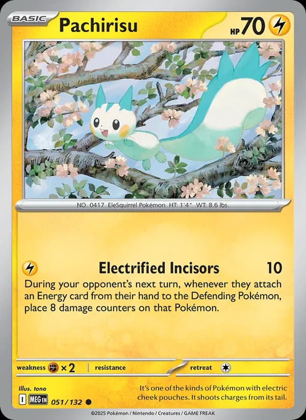 Pachirisu — изображение карты