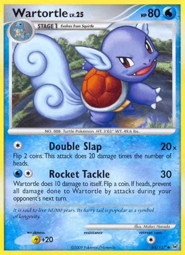 Wartortle — изображение карты