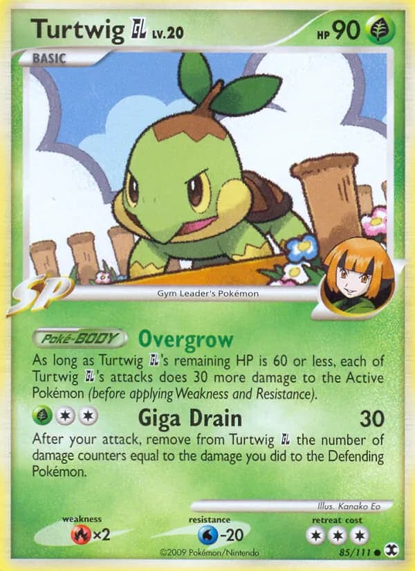 Turtwig GL — изображение карты