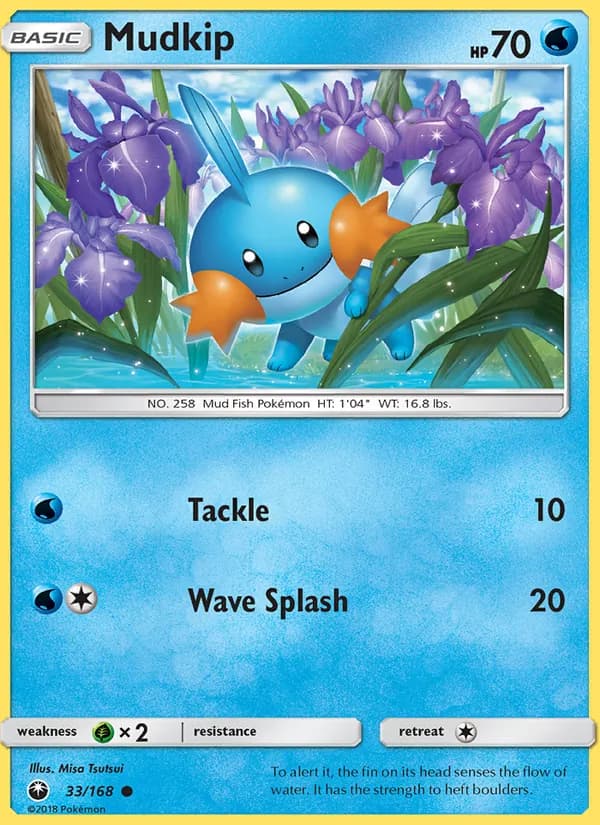 Mudkip — изображение карты