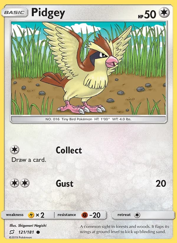 Pidgey — изображение карты