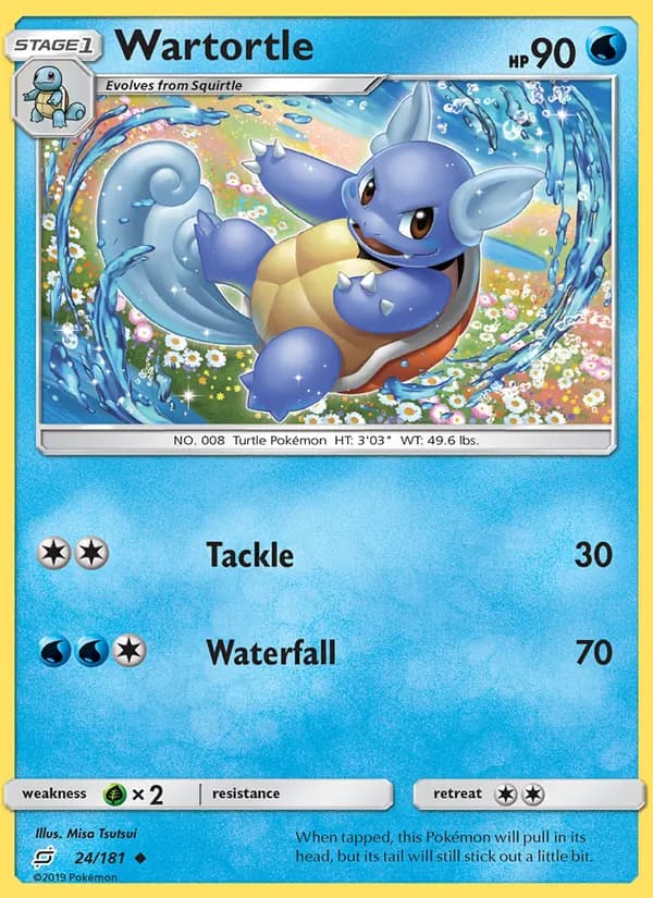 Wartortle — изображение карты