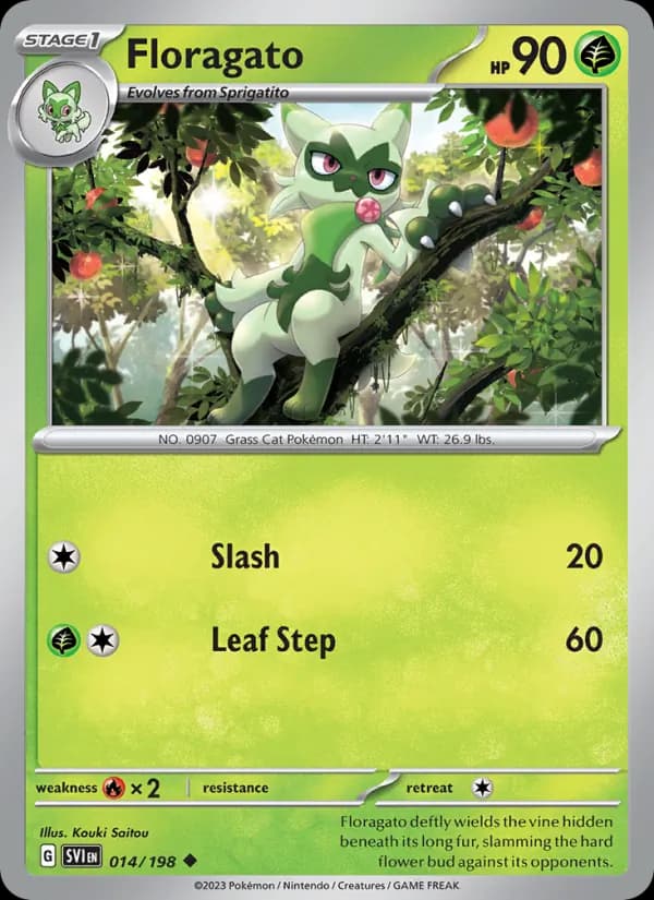 Floragato — изображение карты