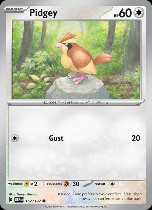 Pidgey — изображение карты