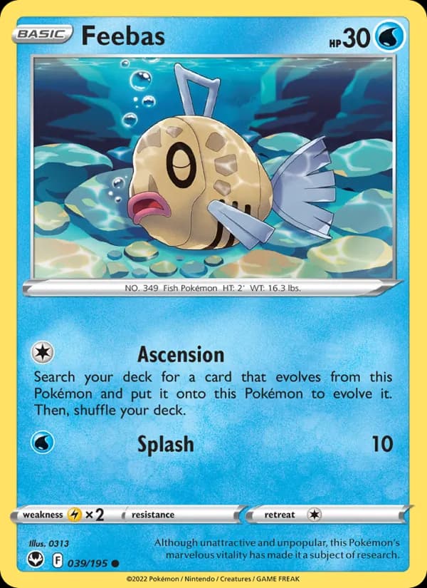 Feebas — изображение карты