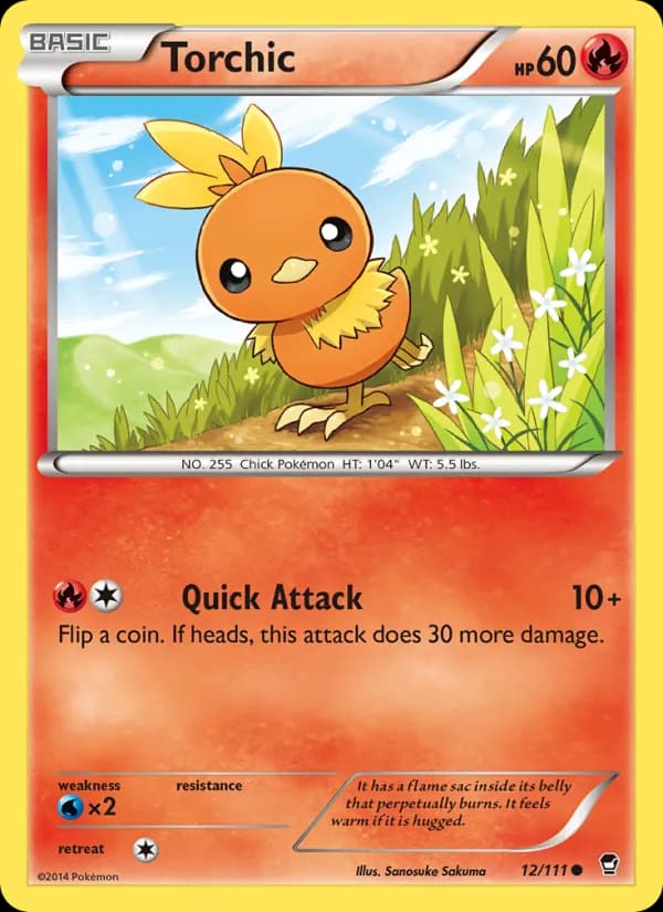Torchic — изображение карты