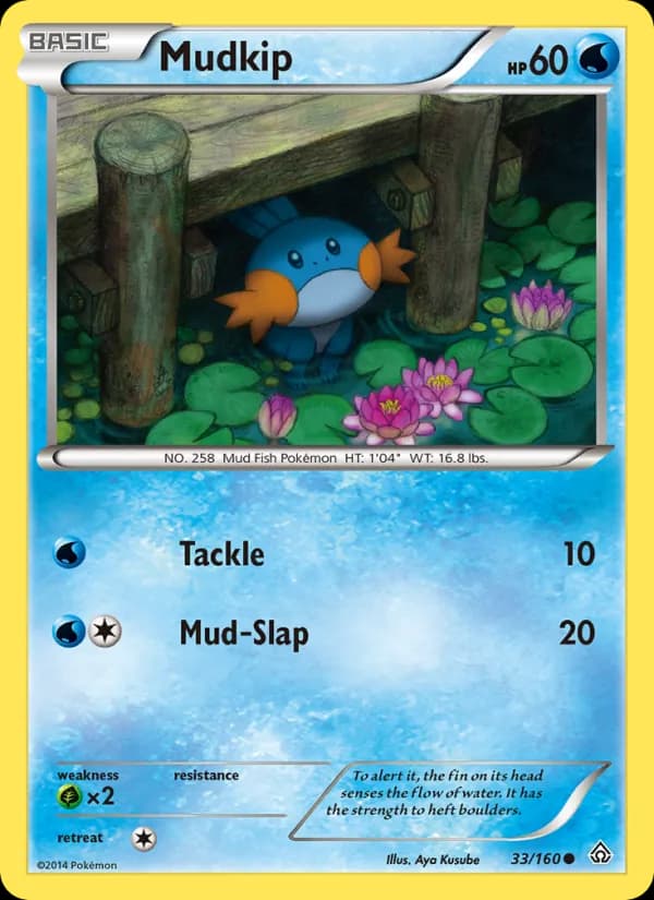Mudkip — изображение карты