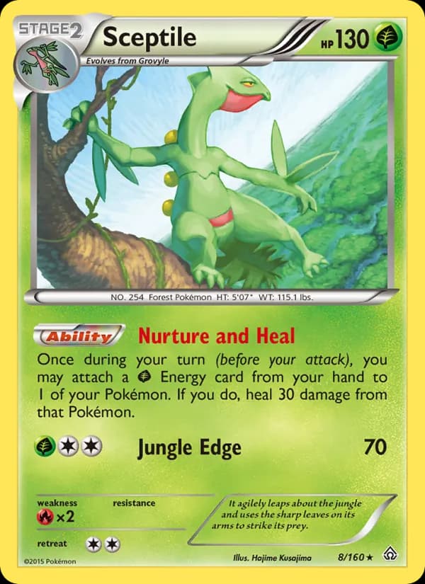 Sceptile — изображение карты