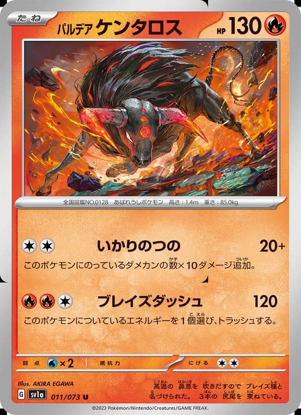 パルデア ケンタロス — изображение карты