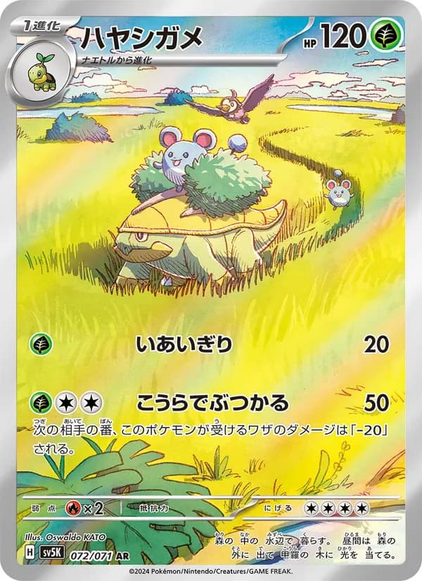 ハヤシガメ — изображение карты