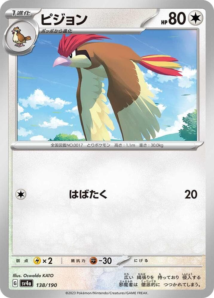 Pidgeotto — изображение карты