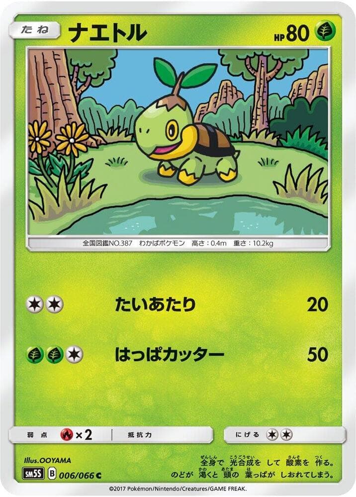 ナエトル — изображение карты