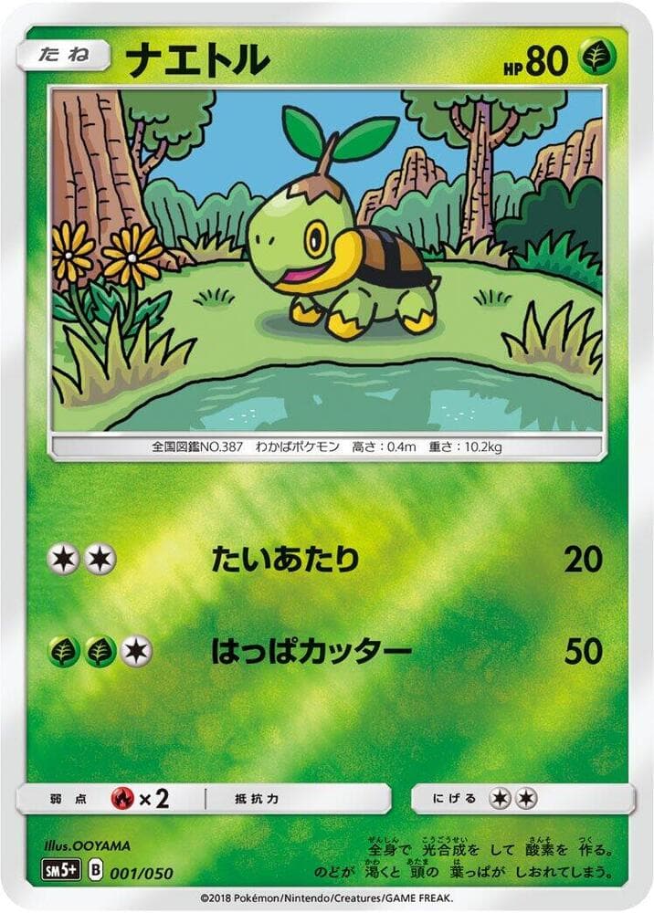 Turtwig — изображение карты