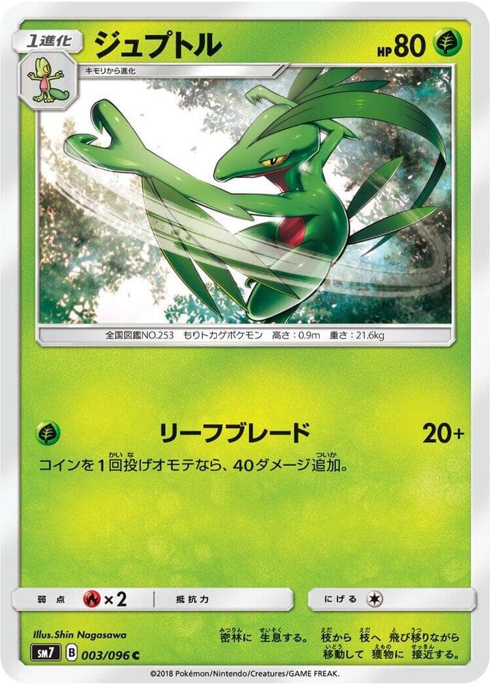 ジュプトル — изображение карты