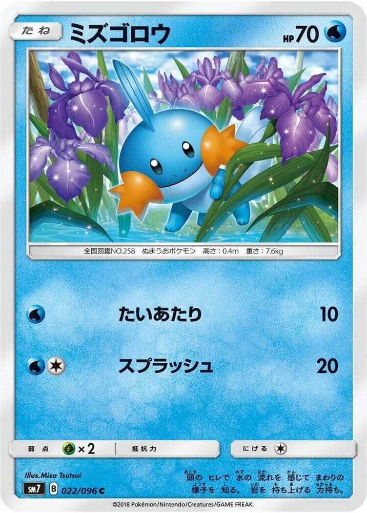 ミズゴロウ — изображение карты
