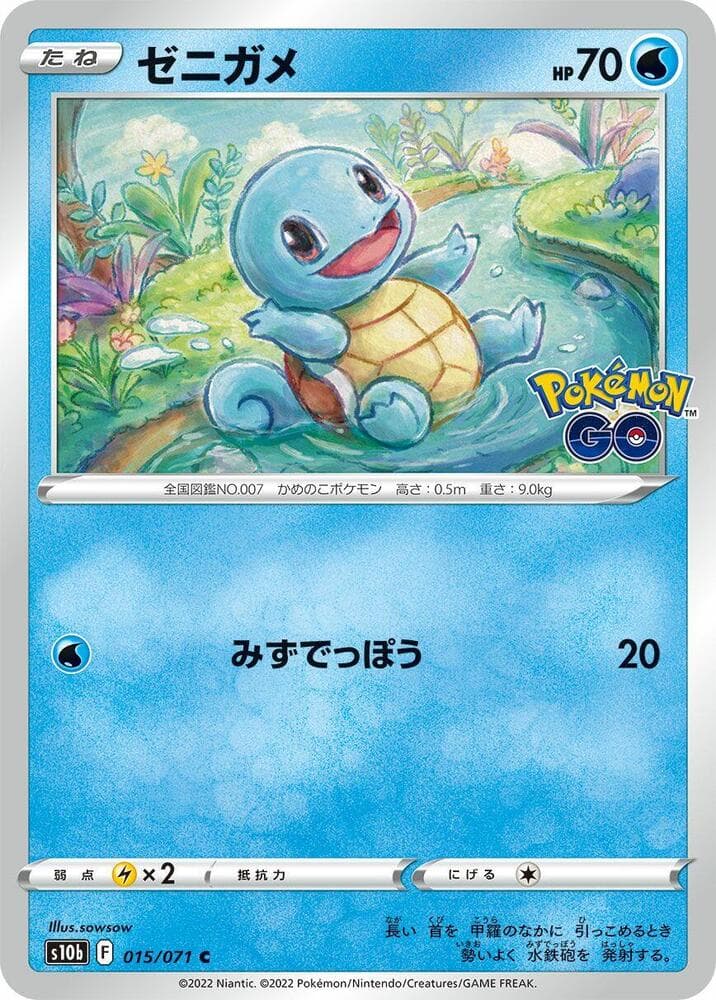 Squirtle — изображение карты
