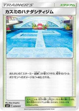 Misty's Cerulean City Gym — изображение карты
