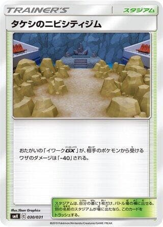 Brock's Pewter City Gym — изображение карты