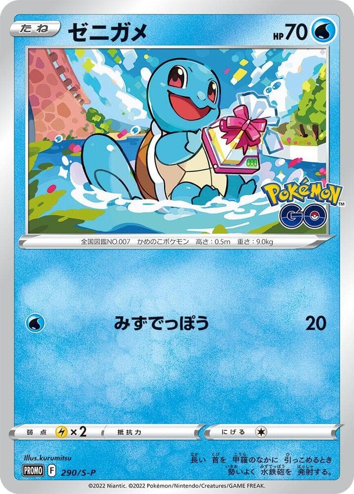 Squirtle — изображение карты