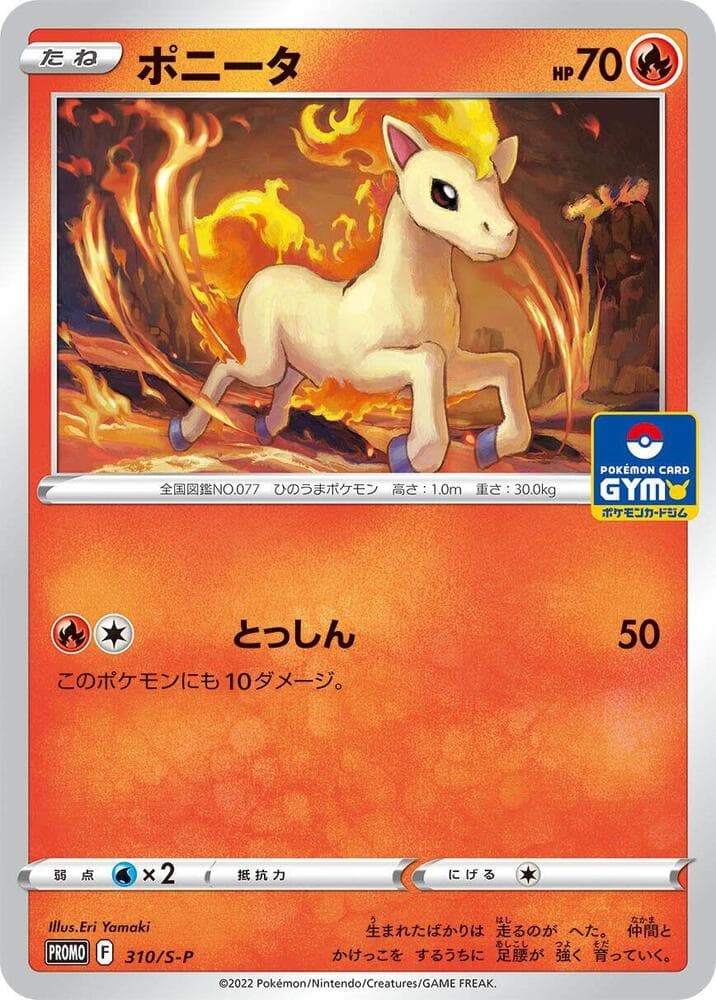 Ponyta — изображение карты