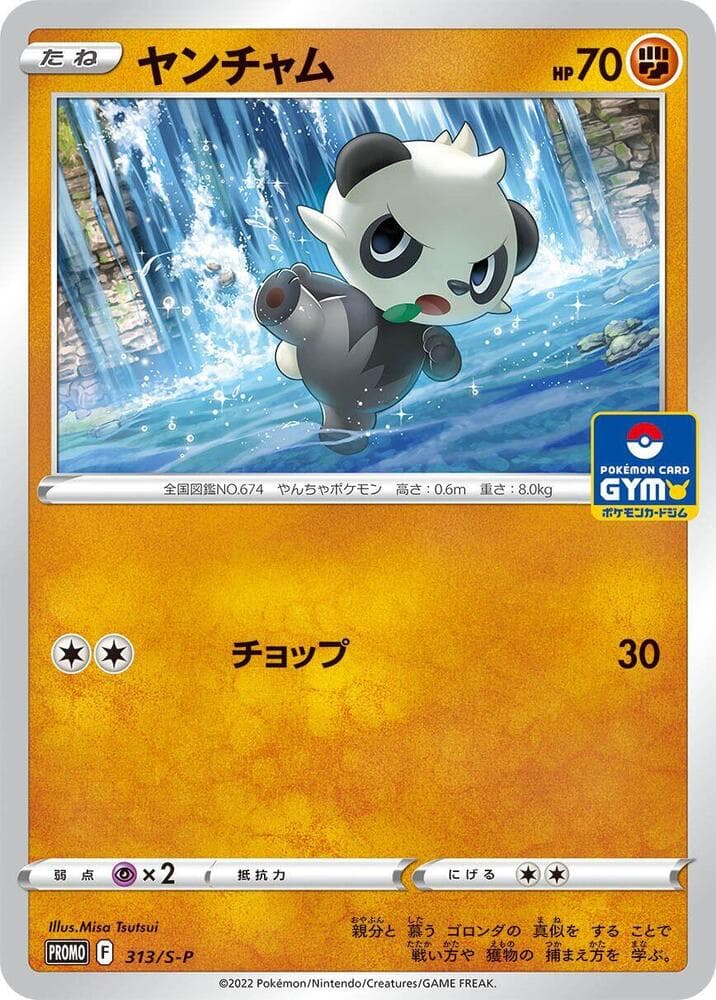 Pancham — изображение карты