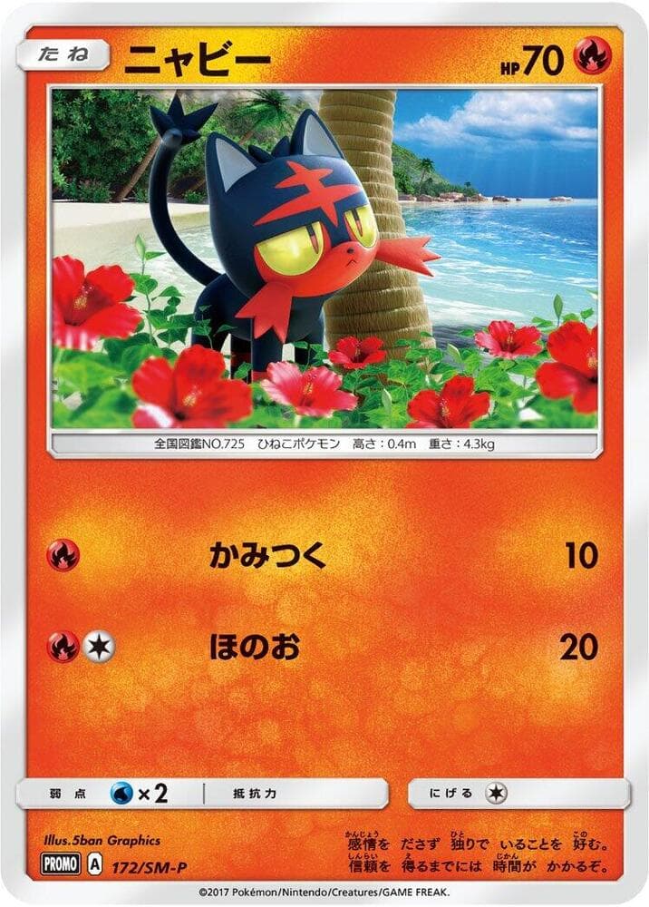 Litten — изображение карты