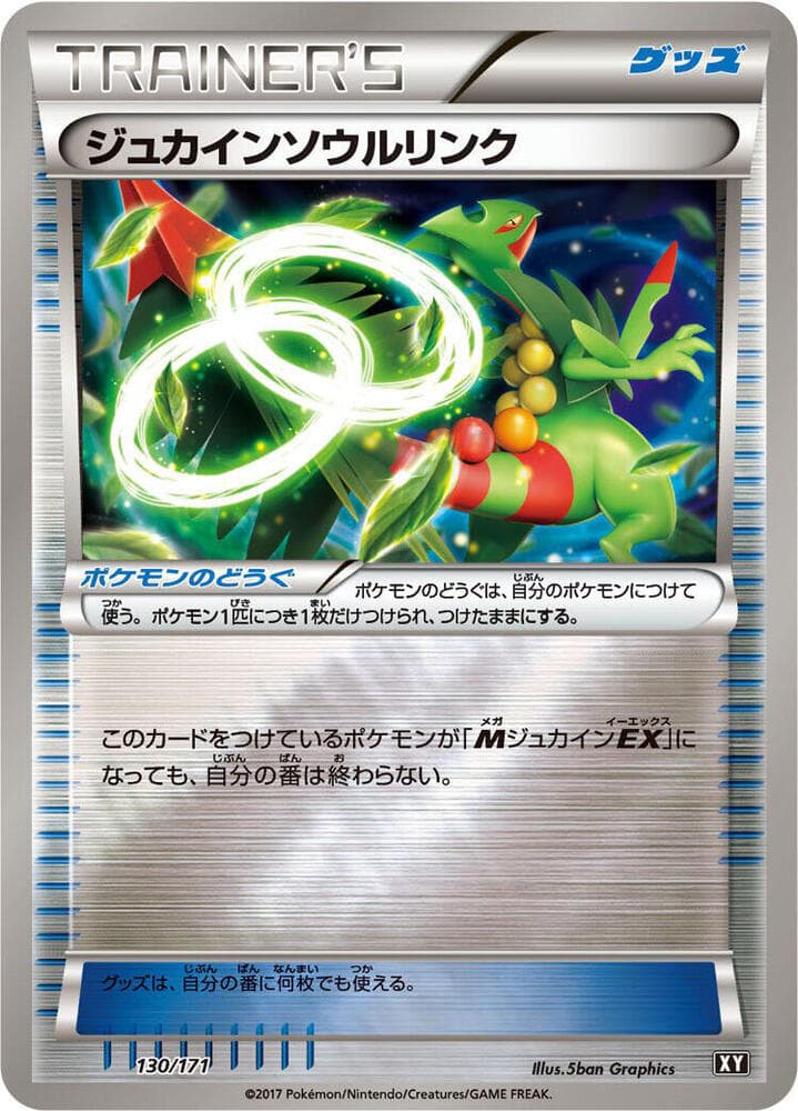 Sceptile Spirit Link — изображение карты