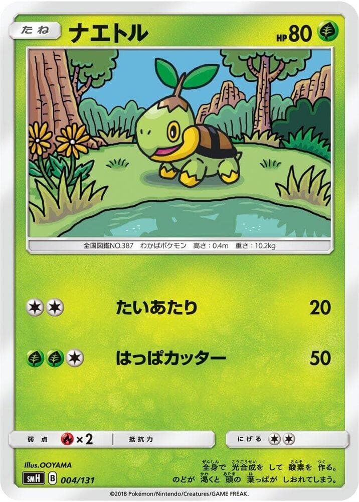 Turtwig — изображение карты