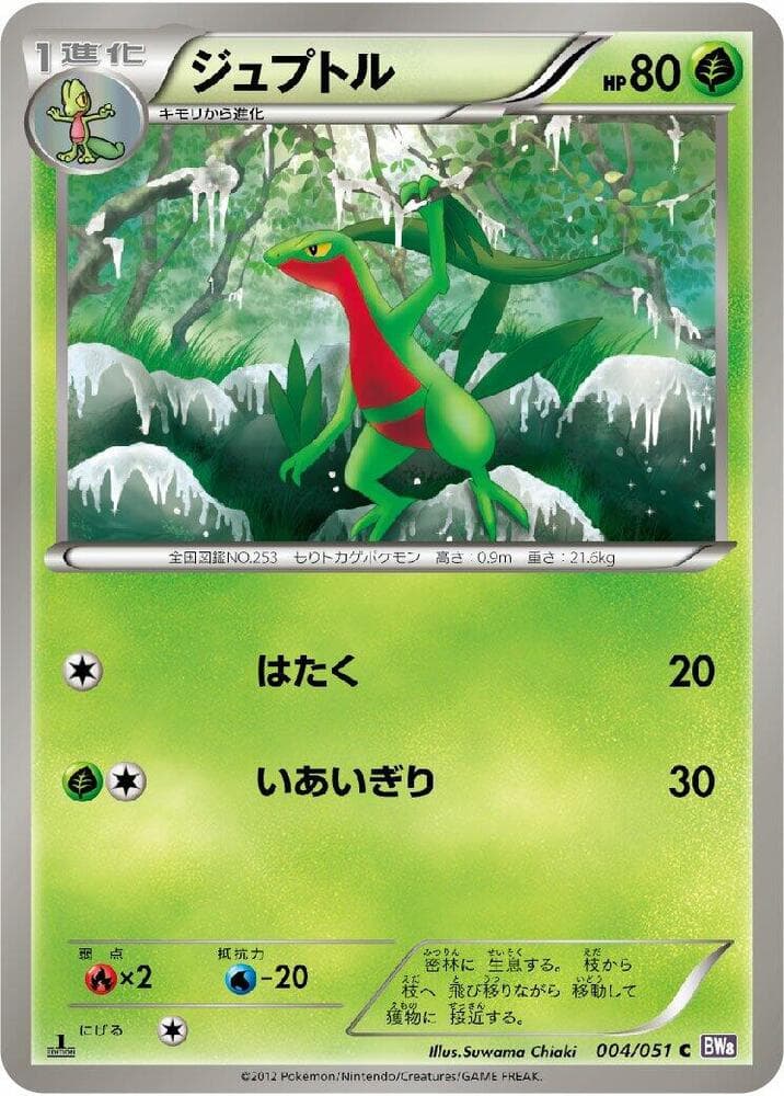 Grovyle — изображение карты