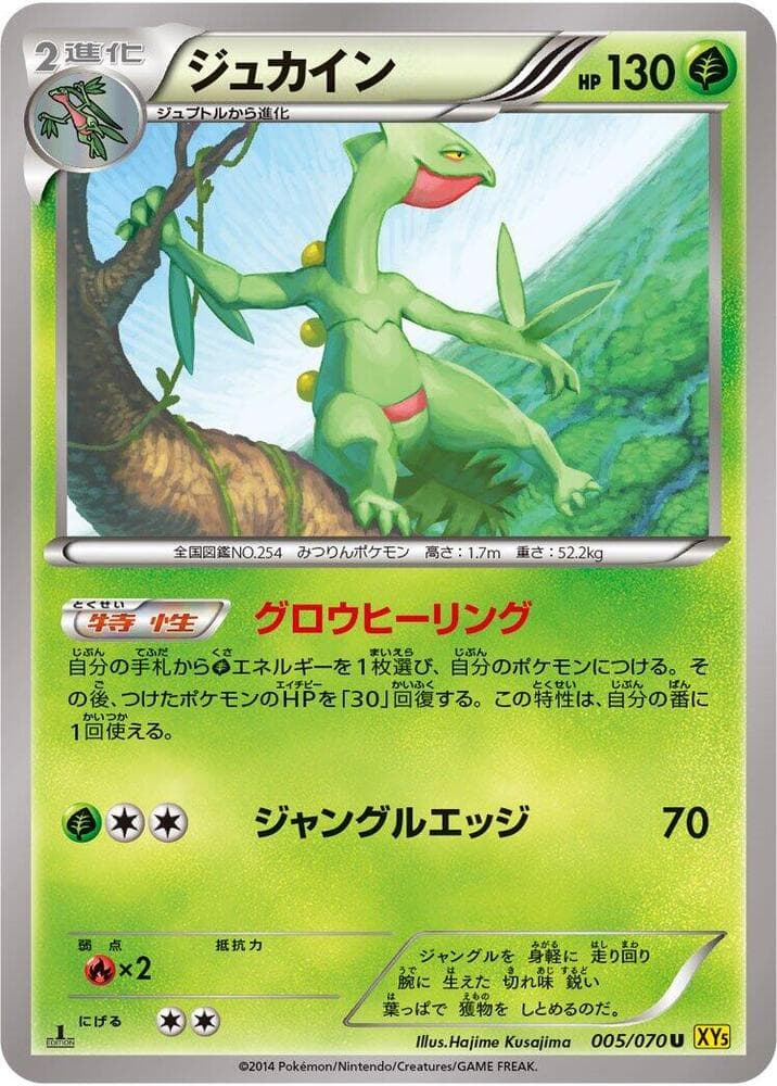Sceptile — изображение карты