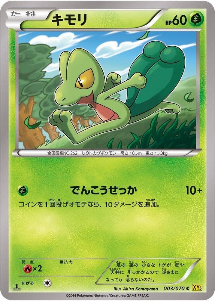 Treecko — изображение карты