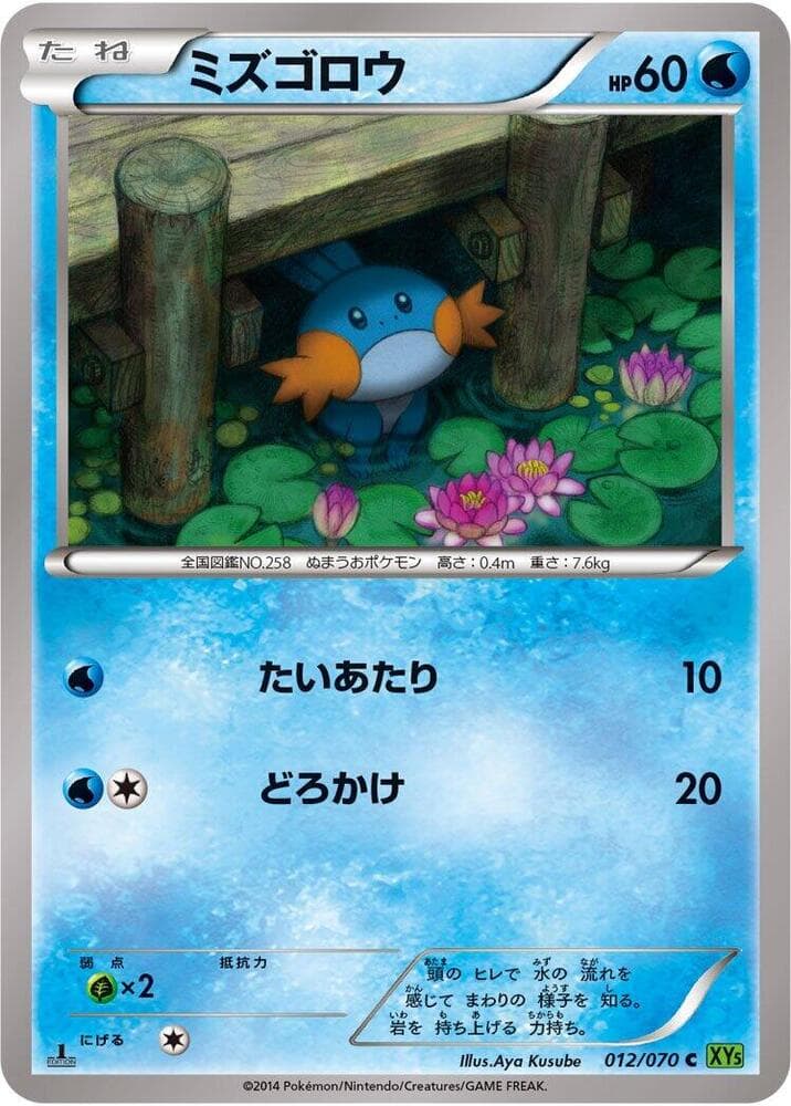 Mudkip — изображение карты