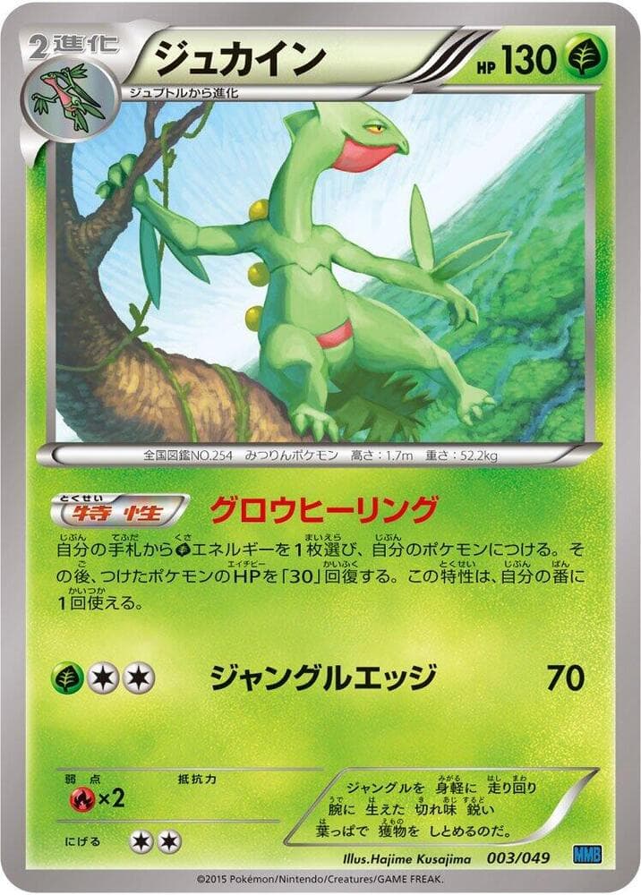 Sceptile — изображение карты