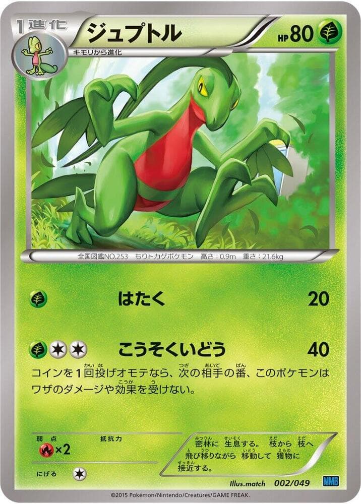 Grovyle — изображение карты