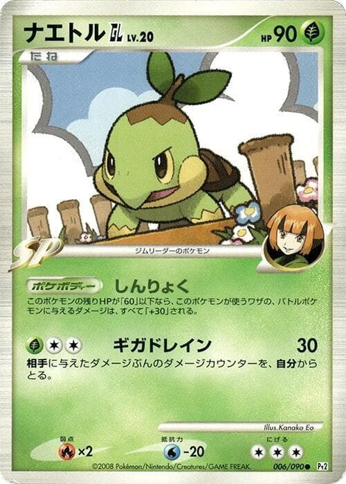 Turtwig GL — изображение карты