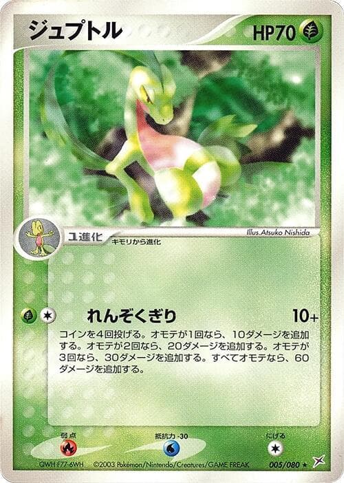 Grovyle — изображение карты