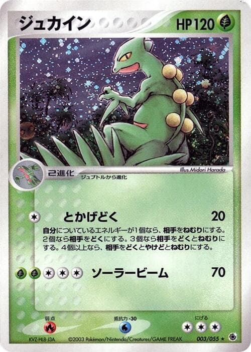 Sceptile — изображение карты
