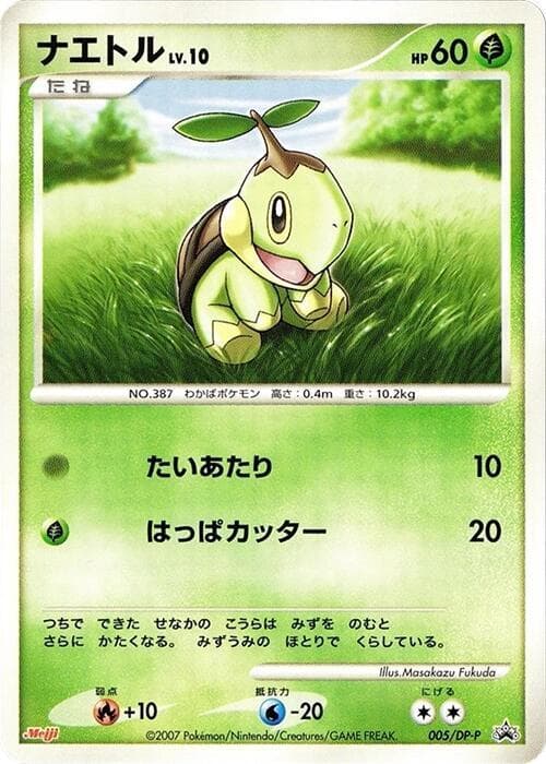 Turtwig — изображение карты
