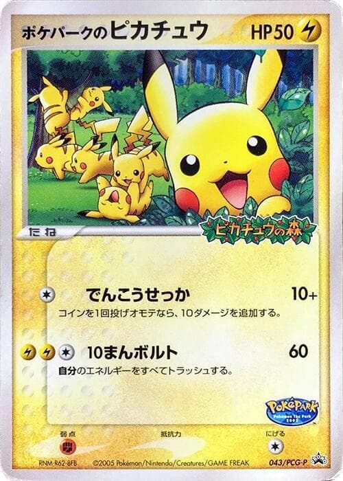PokePark's Pikachu — изображение карты