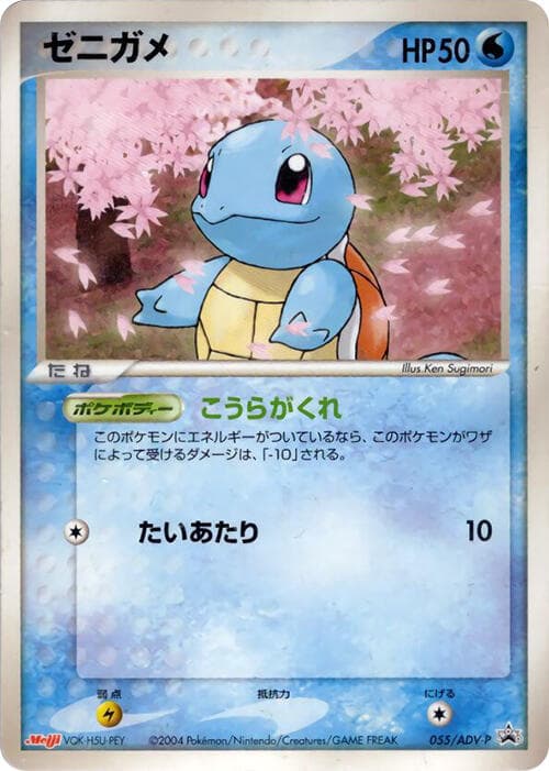 Squirtle — изображение карты