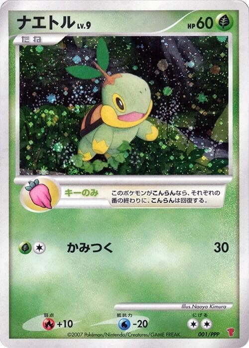 Turtwig — изображение карты